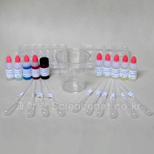 영양소 검출 반응 실험키트(4인1조실험)